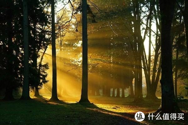 环保材料在现代浴室装修中的应用